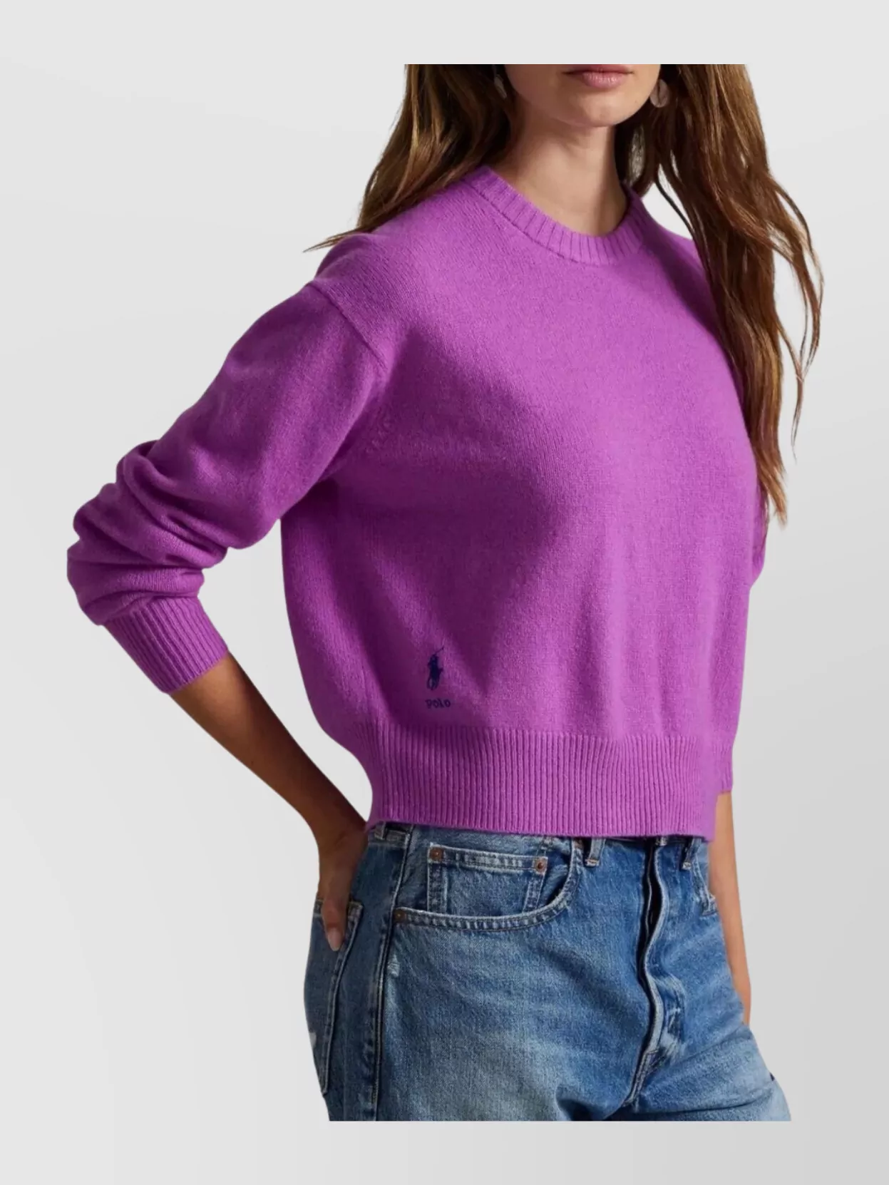 Polo Ralph Lauren Wool Crew Neck Sweater