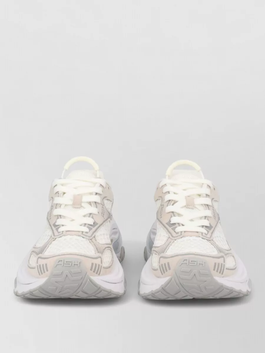 Ash leather low-top sneakers