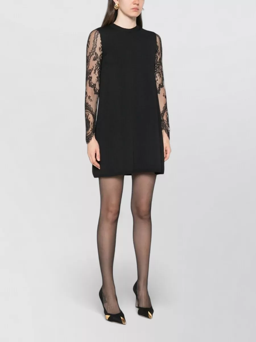 Valentino Garavani Lace-Embroidered Long-Sleeve Mini Dress
