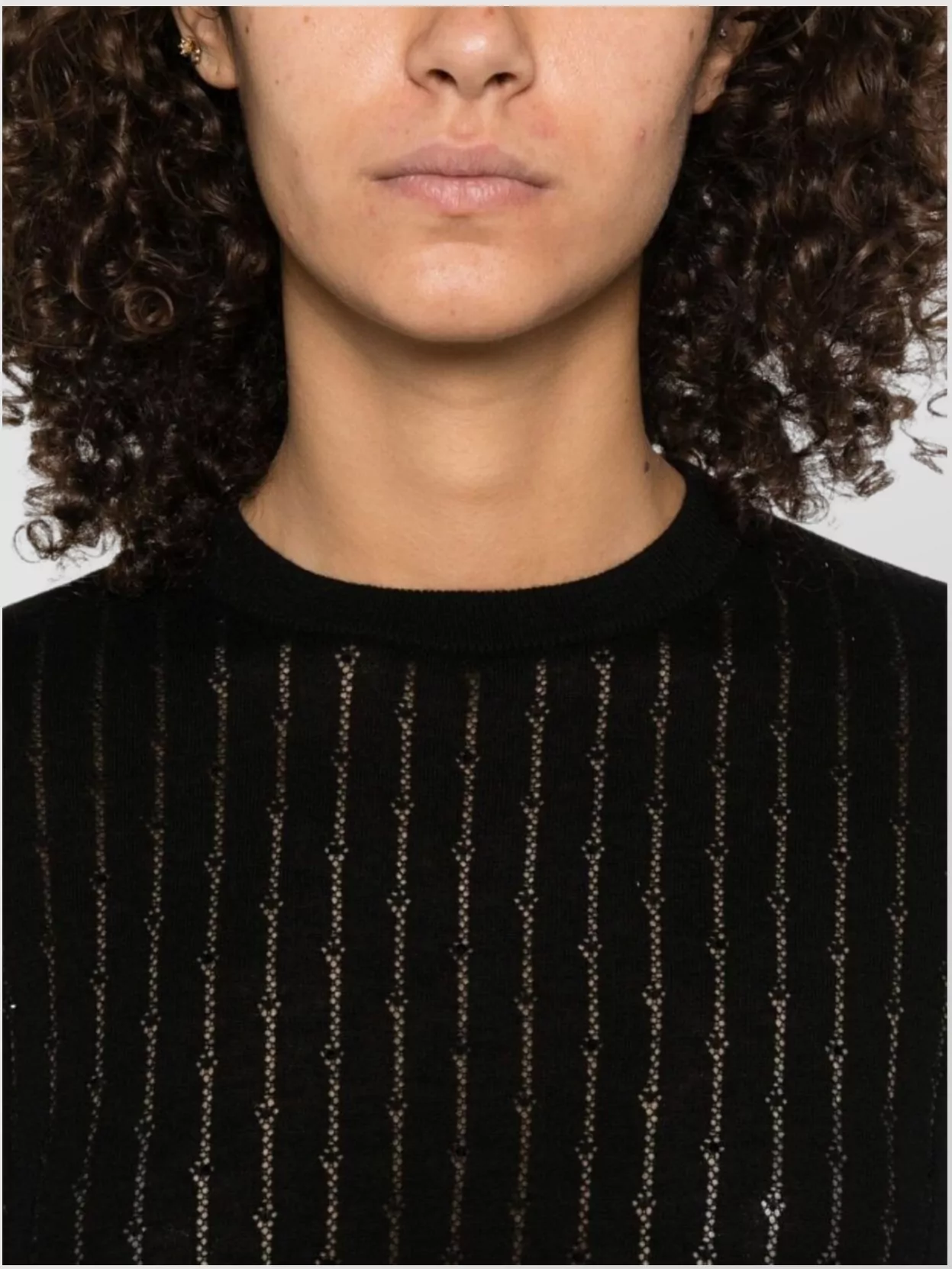 Max Mara Crewneck Metallic Thread Knitwear Sheer Short Sleeves