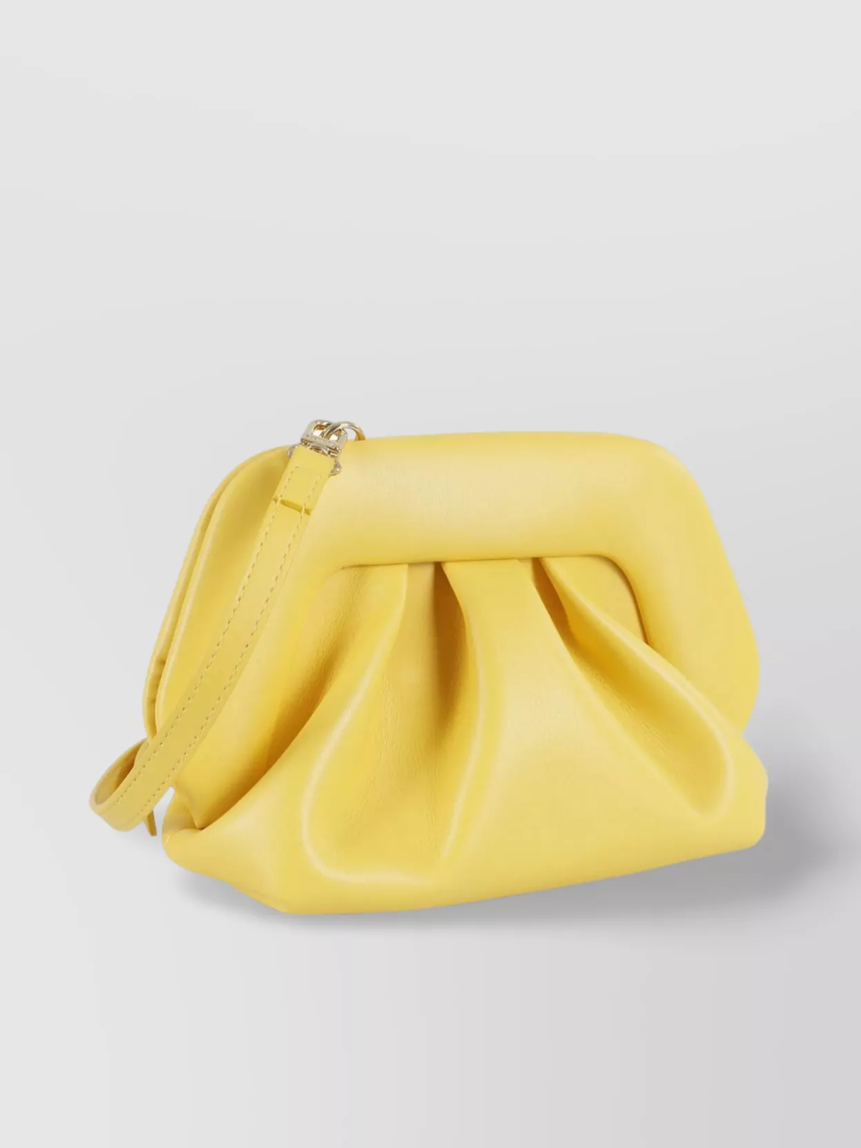 Themoiré Pleated Frame Clutch Bag