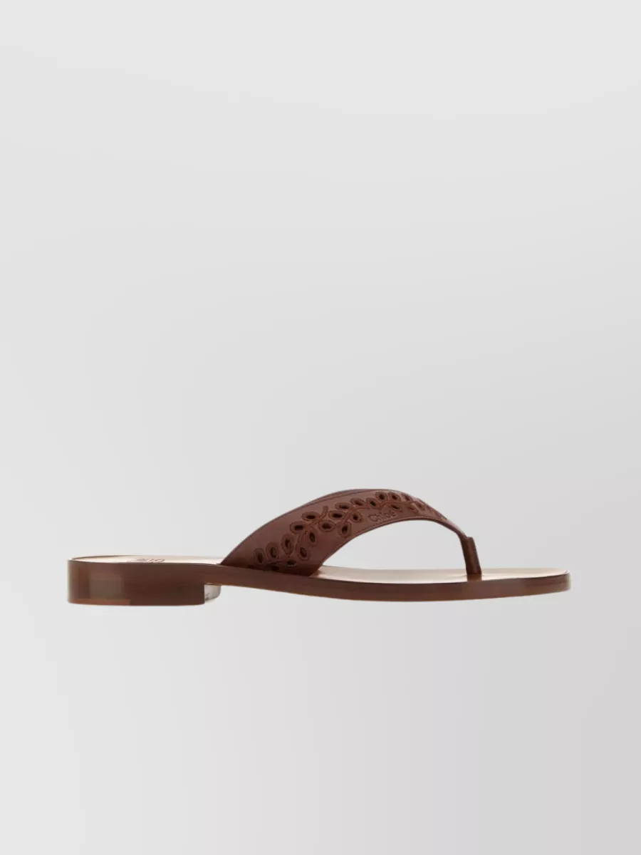 Shop Chloé Leather Perforated Thong Slippers In Brown