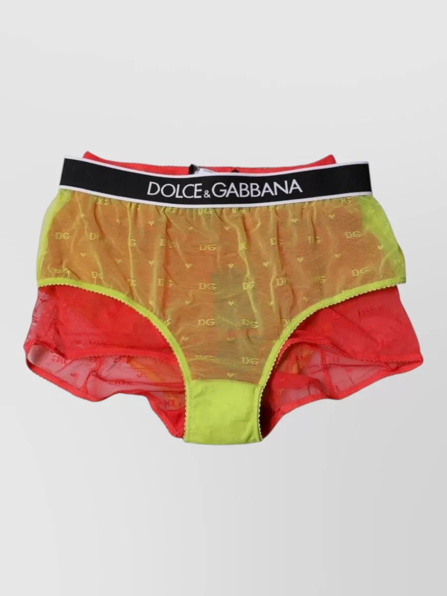 Dolce&Gabbana mid-rise tulle briefs
