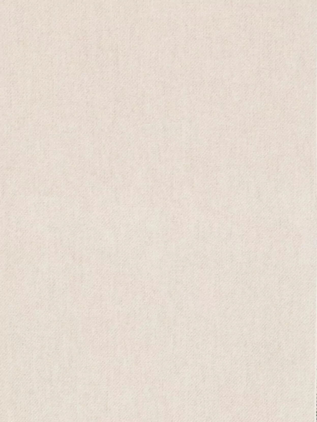 Brunello Cucinelli Cashmere Scarf Fringed Edges Contrast Trim In Neutral