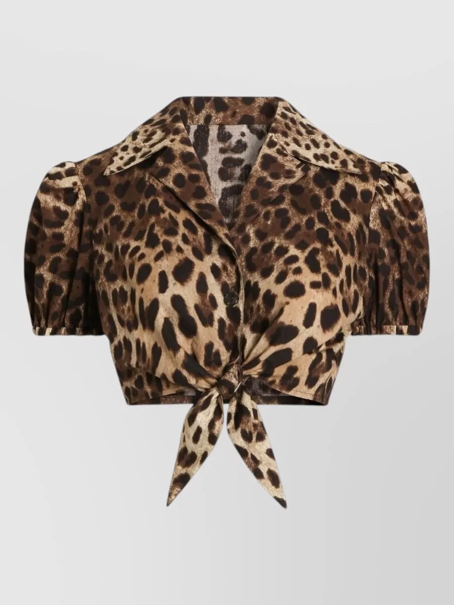 Dolce&Gabbana cotton leopard-print short-sleeve mini dress