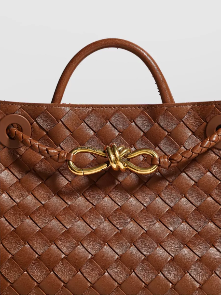 Bottega Veneta Andiamo Small Leather Shoulder Bag