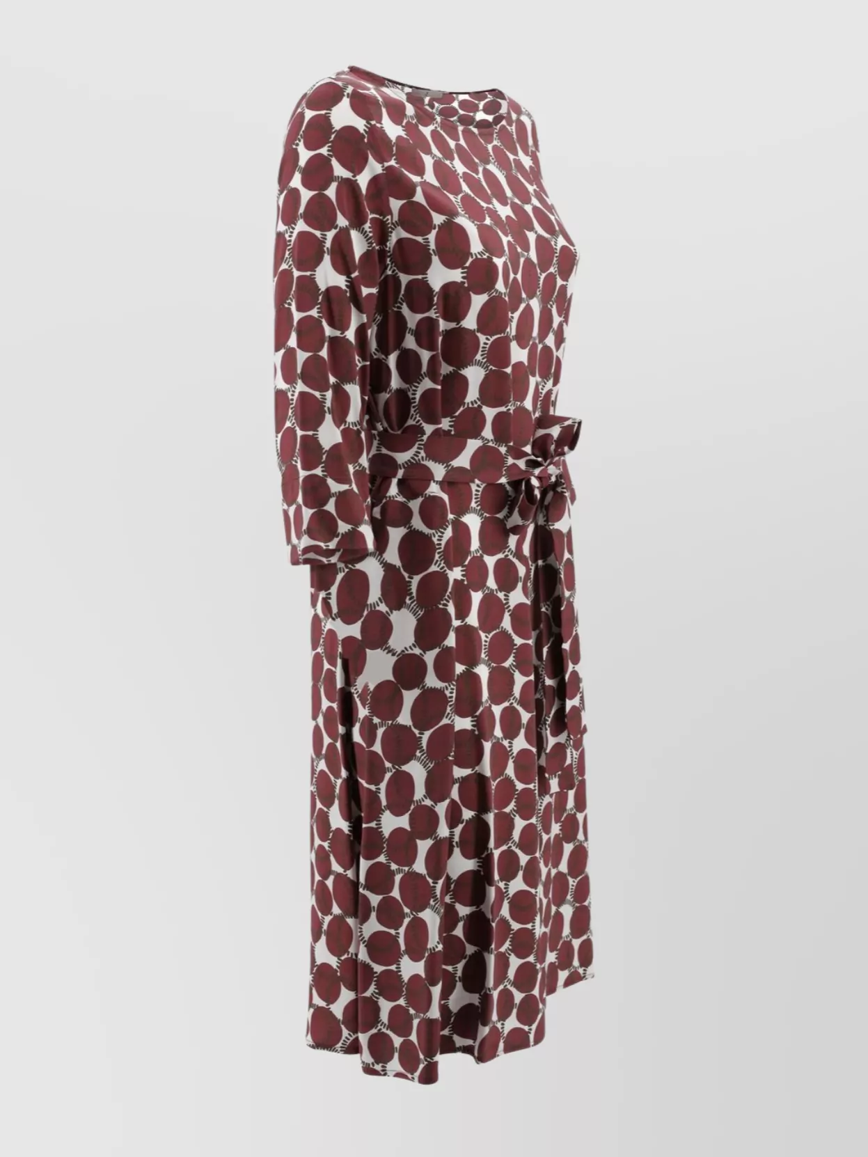 Whyci Dress Belted Waist Print