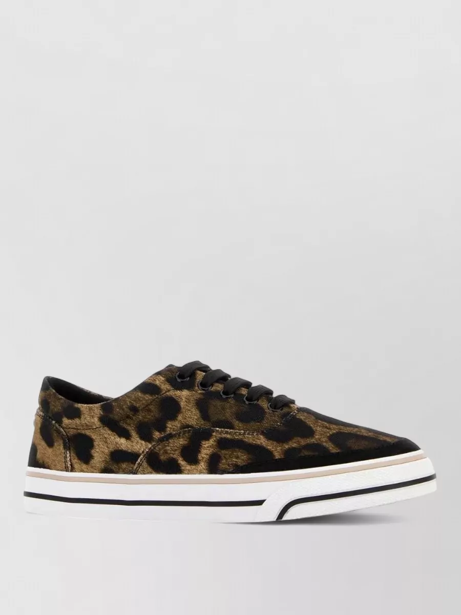 Dolce&Gabbana Printed Canvas Low-Top Sneakers