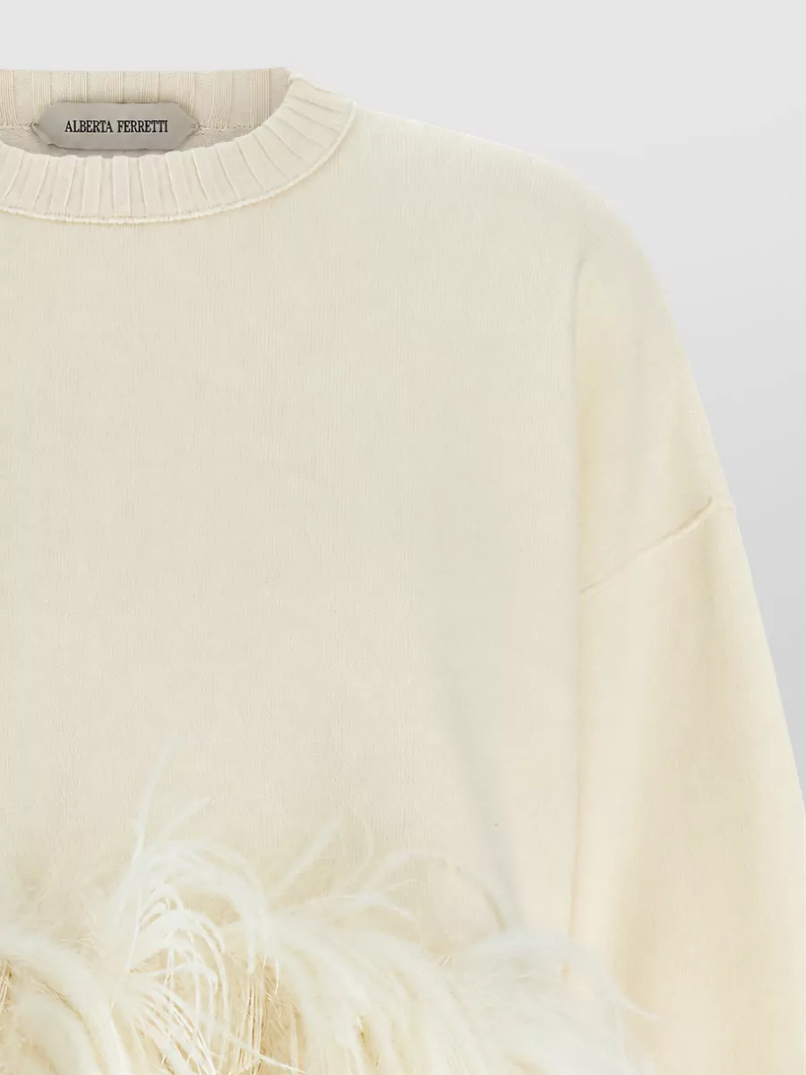 Alberta Ferretti Feather-Trimmed Ribbed Cropped Sweater