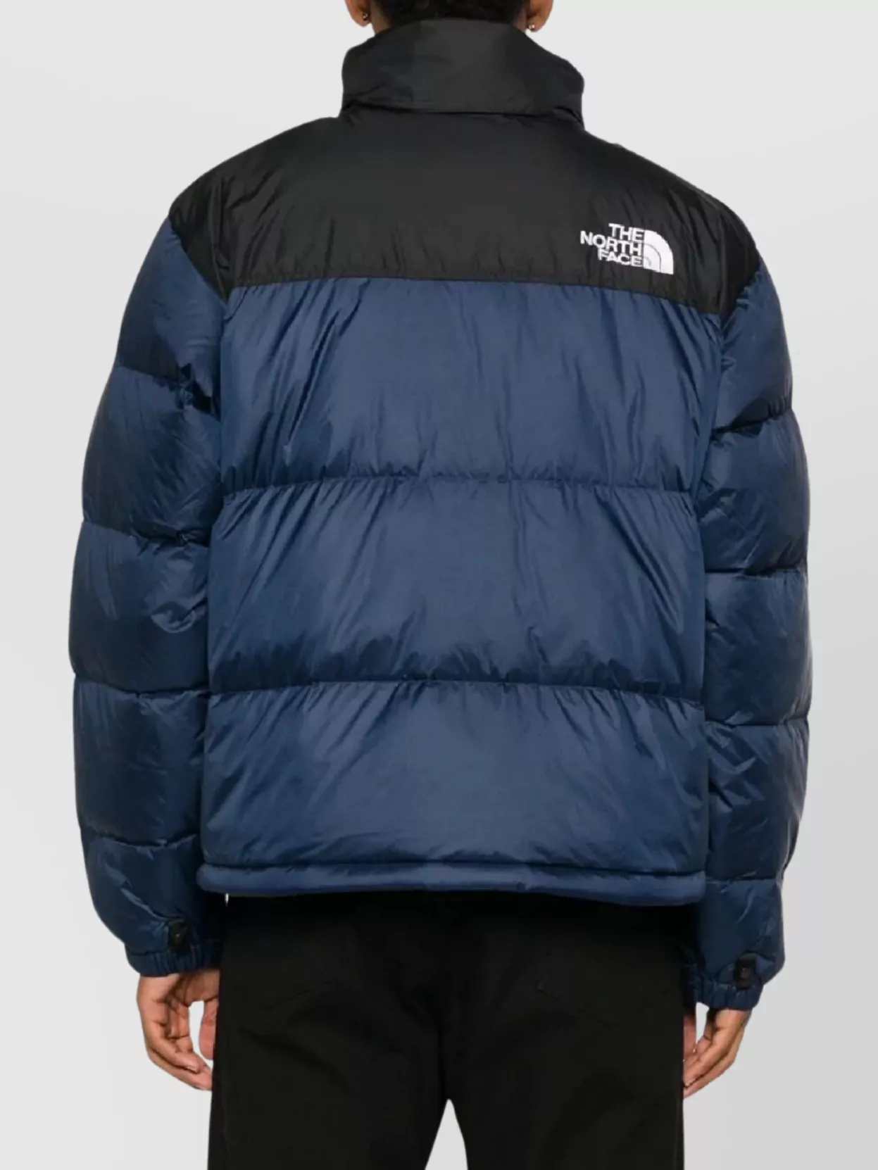 The North Face Retro Puffer Jacket High Collar