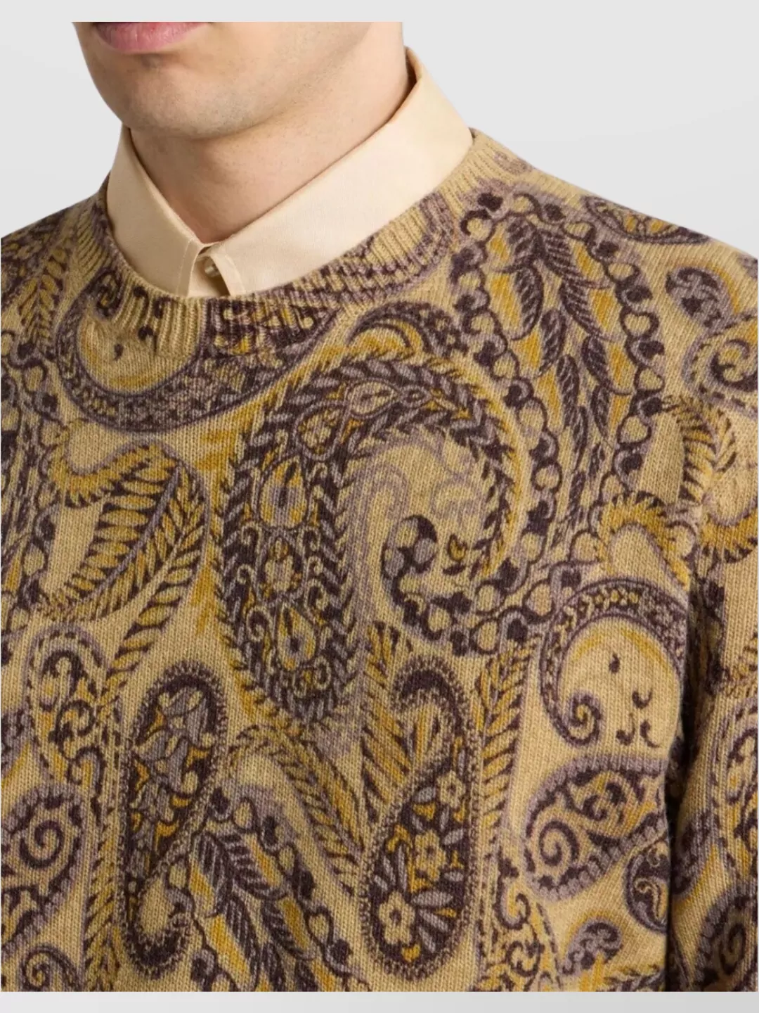 Etro Paisley Print Crewneck Knitwear