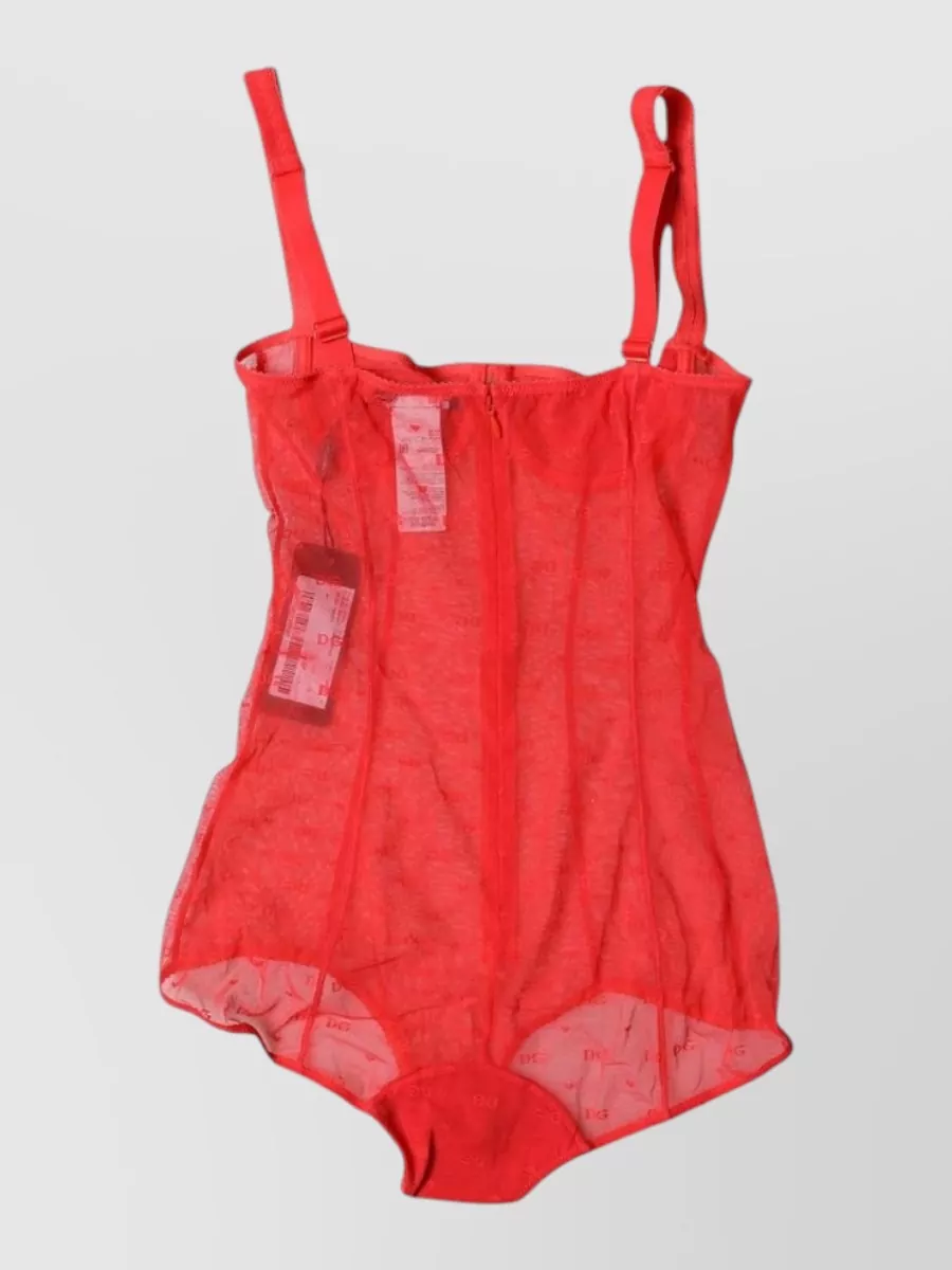 Dolce&Gabbana Mesh balconette bra bodysuit
