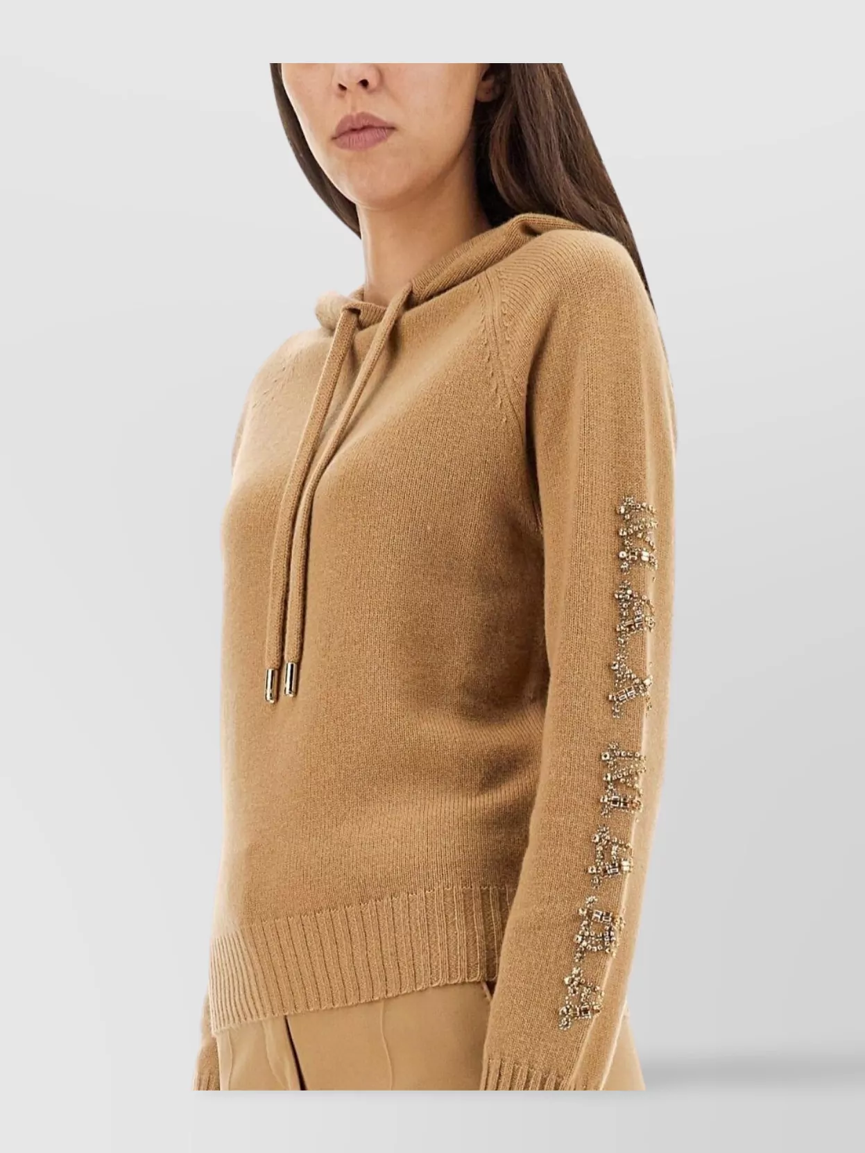 Max Mara Hooded Sweatshirt With Drawstring And Embellished Sleeves In Brown