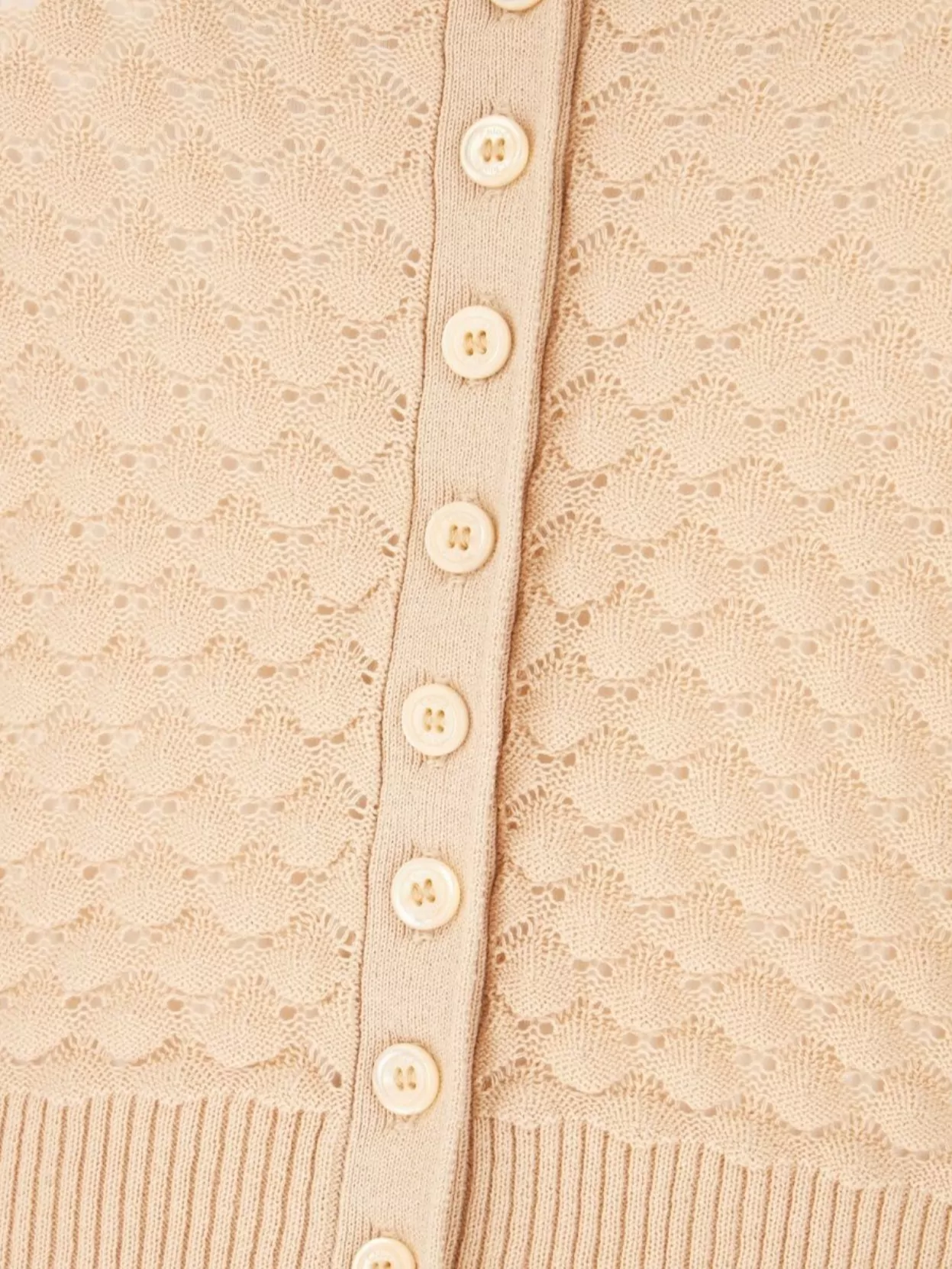 Chloé Scoop Neck Cotton Cardigan