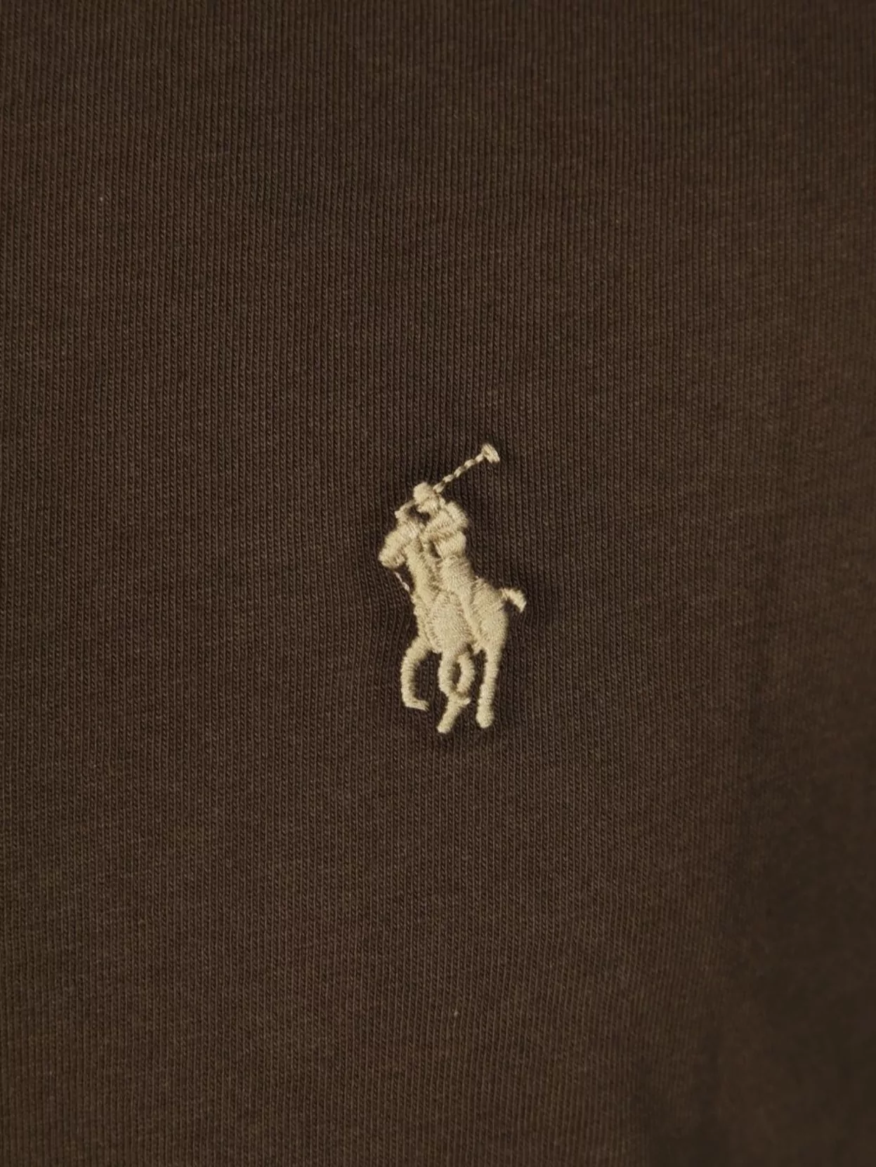 Polo Ralph Lauren Logo Print Short Sleeve T-Shirt