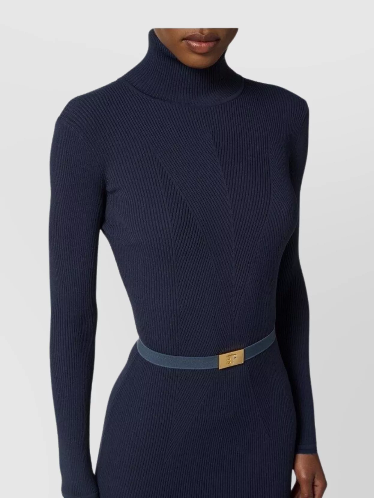 Elisabetta Franchi Turtleneck Long Sleeve Knee-Length Dress