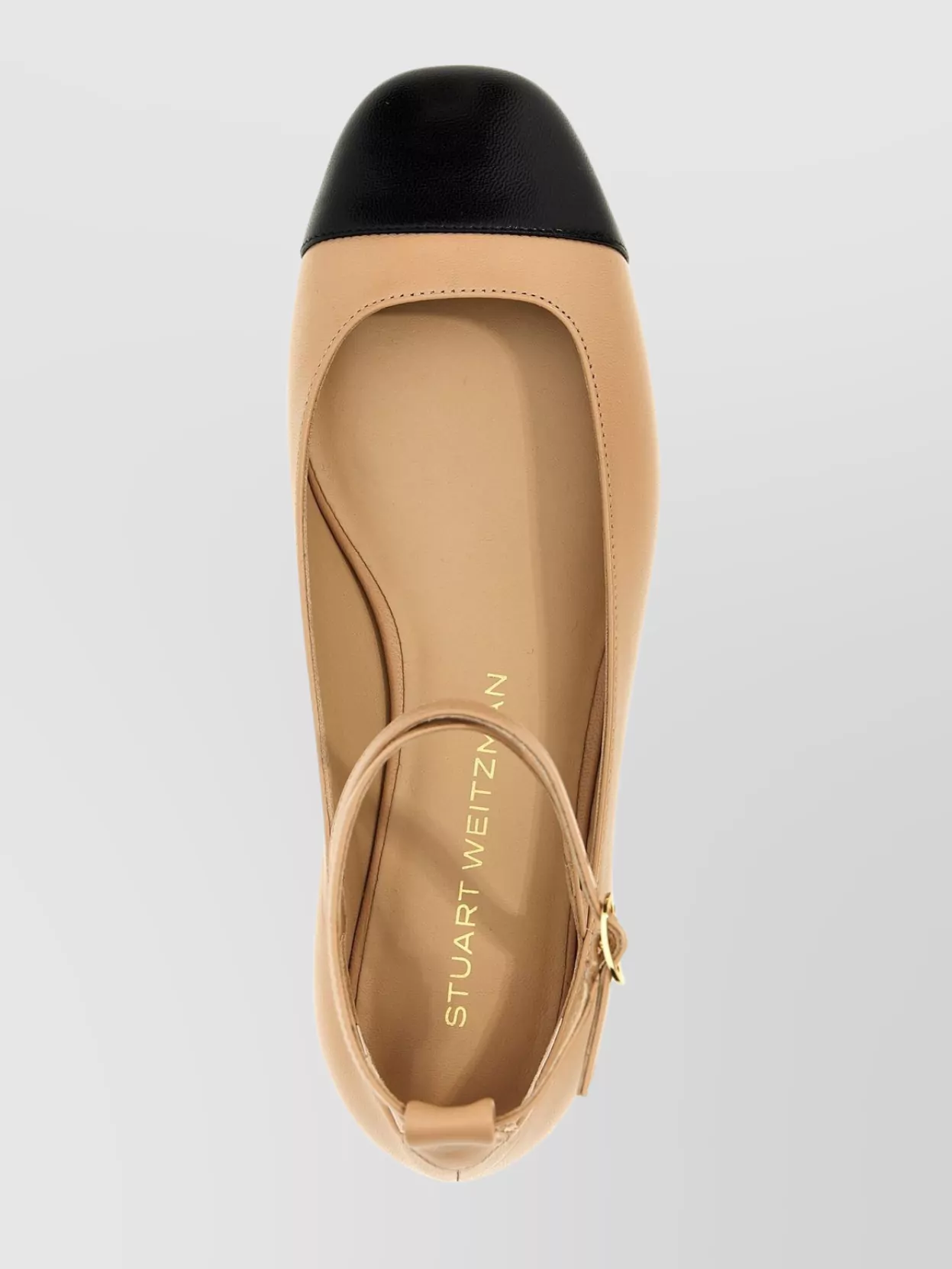 Stuart Weitzman Eden Strap Flat Shoes Multicolor