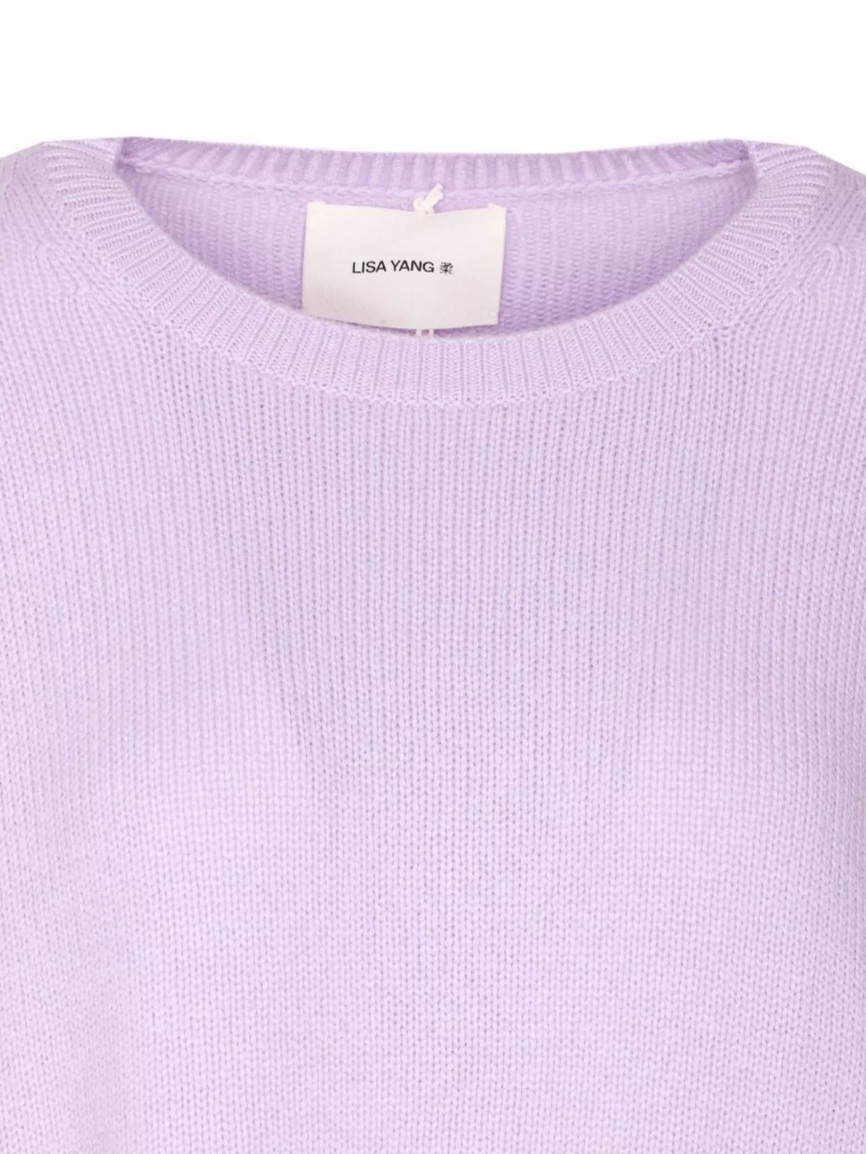 Lisa Yang Oversized Crewneck Knitwear Long Sleeves