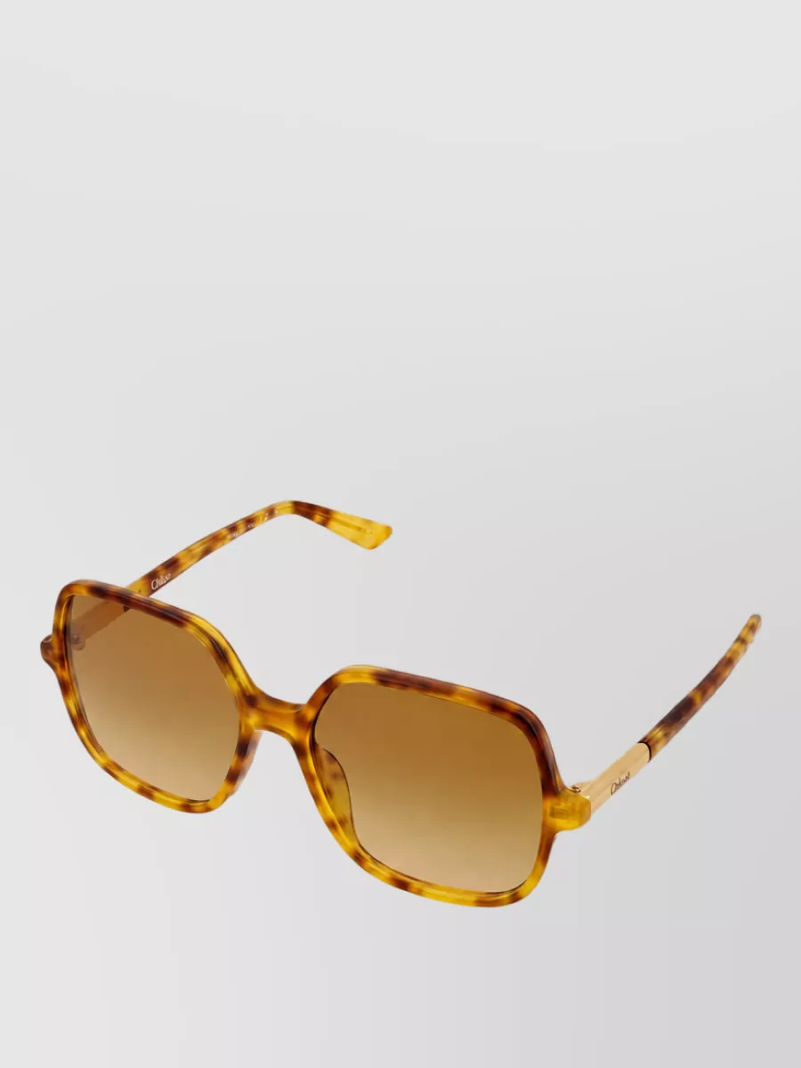 Chloé Acetate Sunglasses