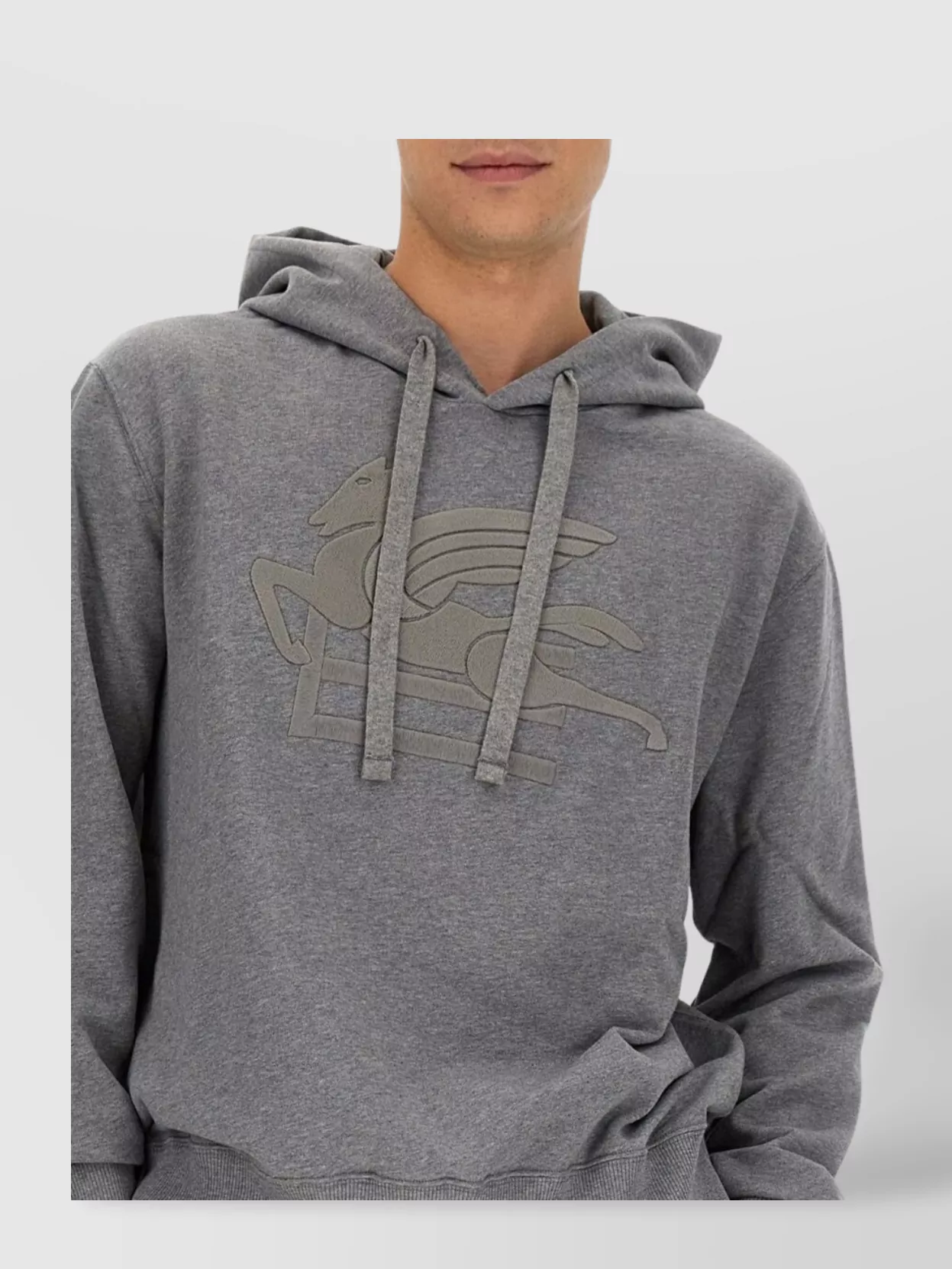 Etro Pegasus Graphic Hooded Sweatshirt
