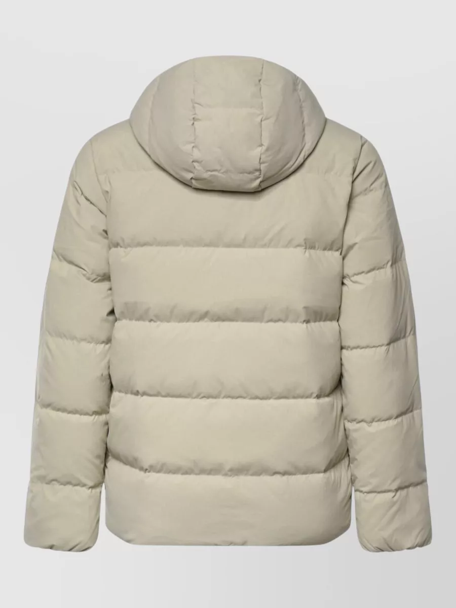 Patagonia Puffer Jacket