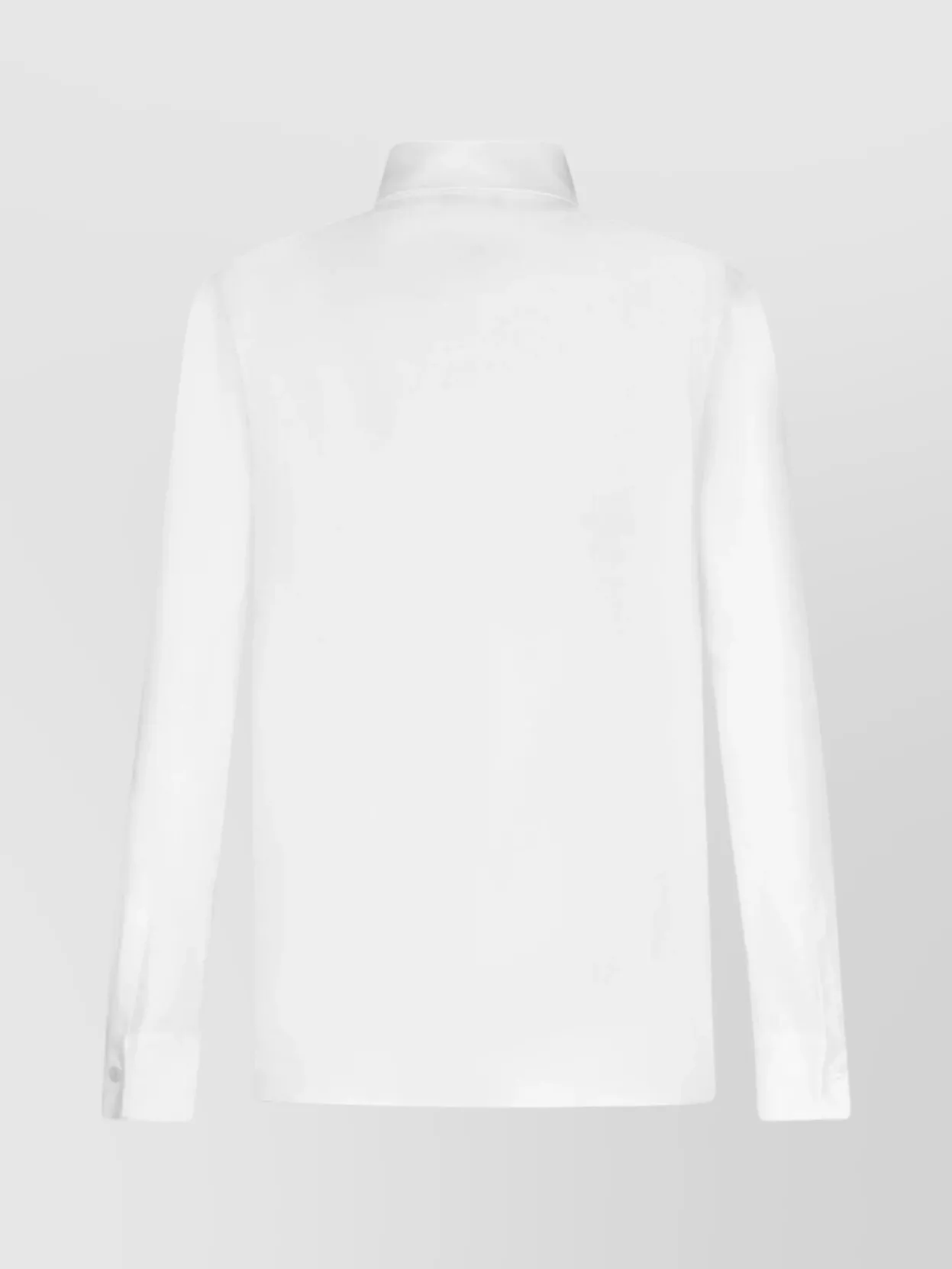 Etro Point Collar Shirt With Long Sleeves