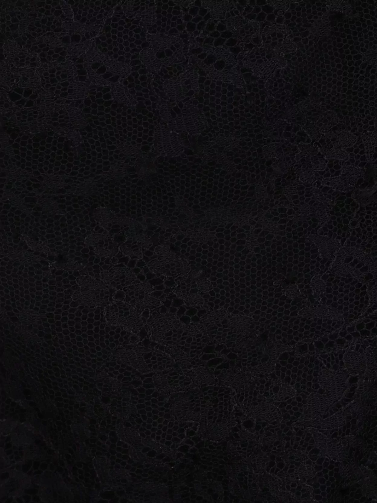 Alexander Mcqueen High Neck Sheer Lace Short Sleeve Top