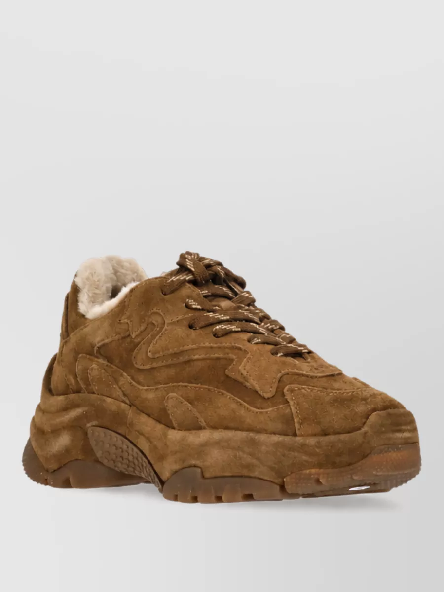 Ash leather low-top sneakers