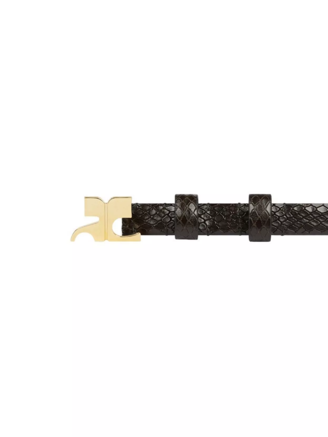 Courrèges Viper Calfskin 15Mm Belt With Gold Buckle