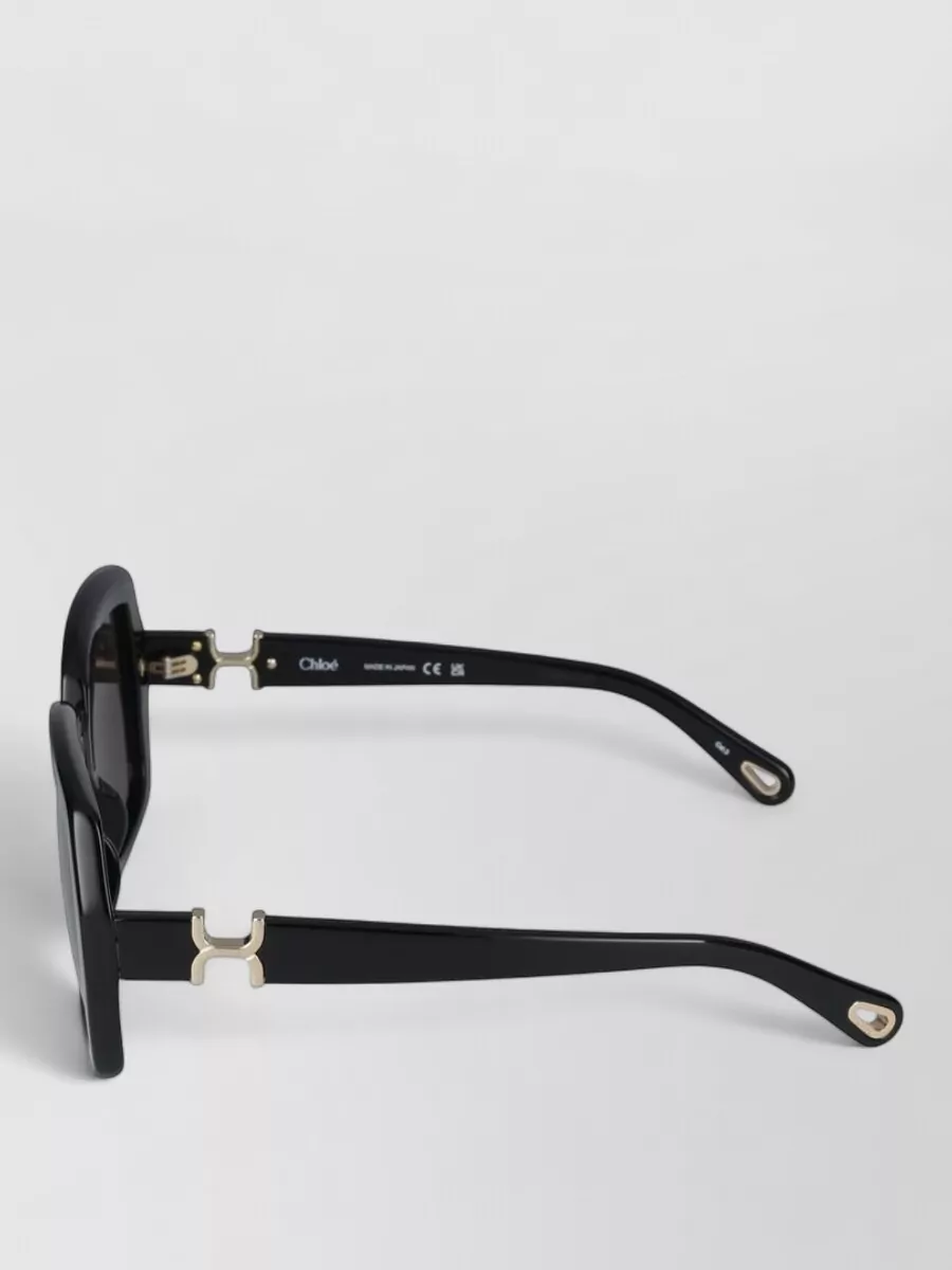 Chloé Acetate Sunglasses