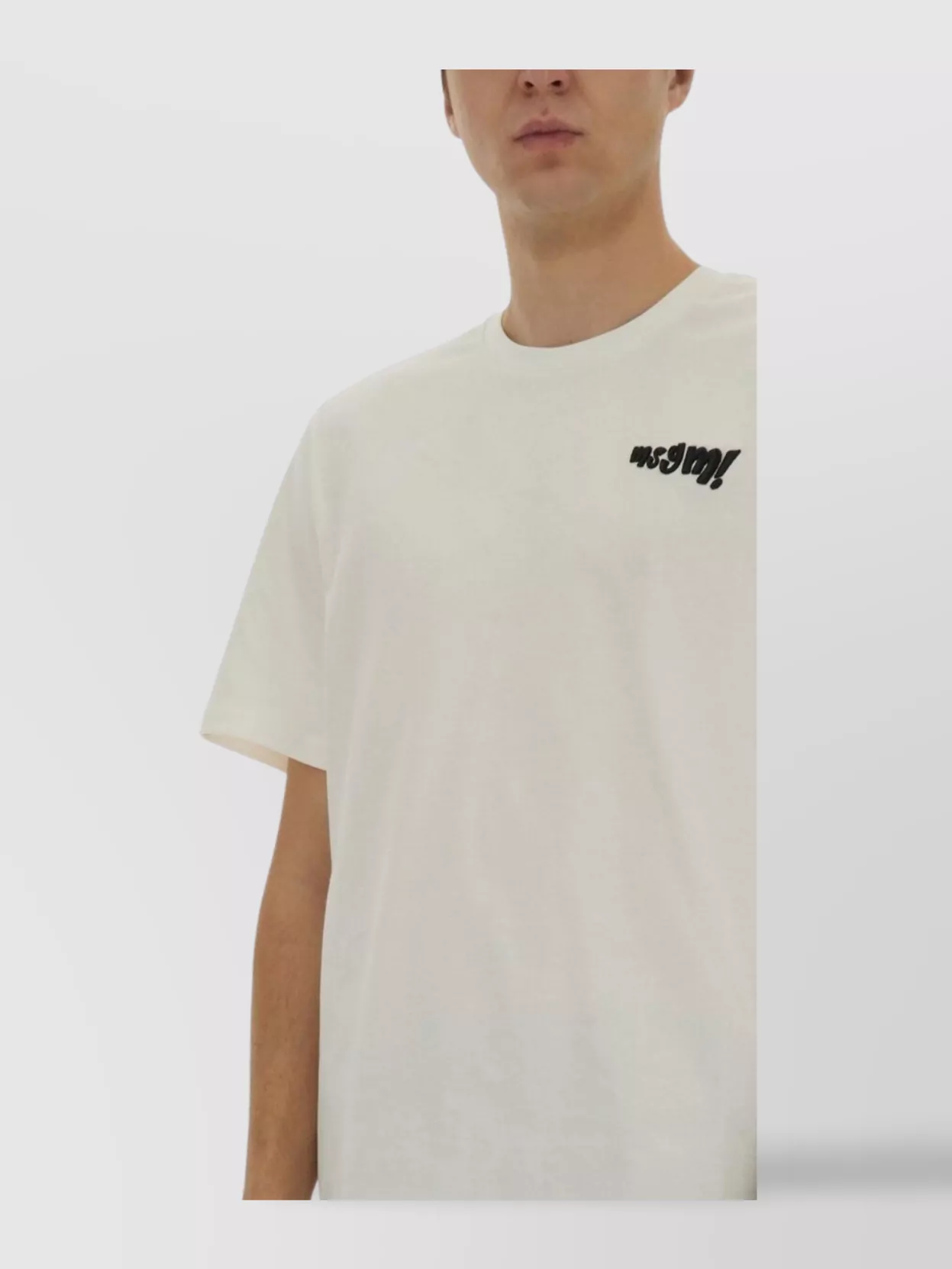 Msgm Logo Embroidered T-Shirt With Crew Neck