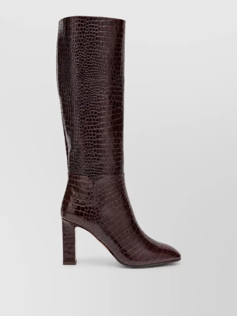 Aquazzura ankle boots