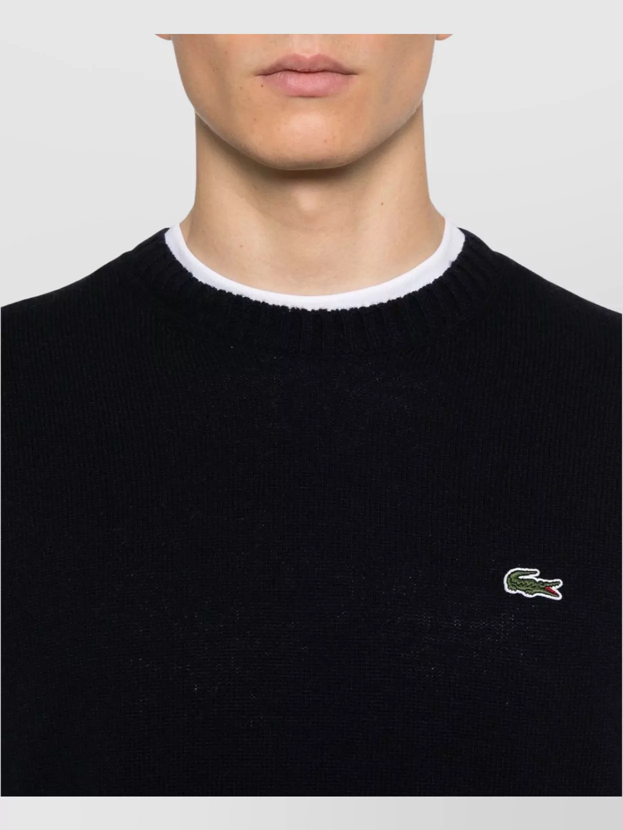 Lacoste Crew Neck Sweater Ribbed Cuffs
