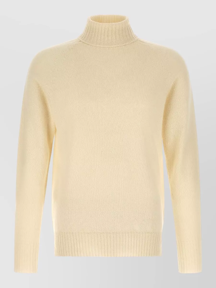 Ma'ry'ya cashmere wool ribbed high neck sweater