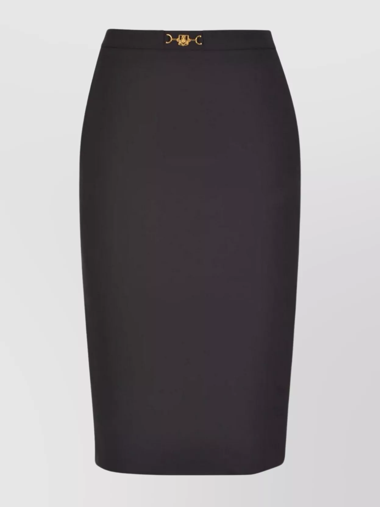 Elisabetta Franchi High Waist Back Slit Knee-length Skirts In Black