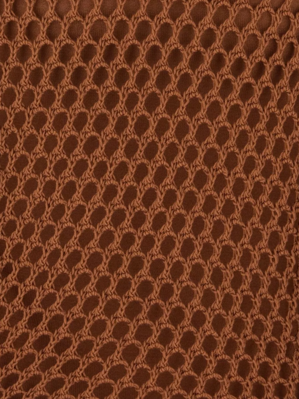 Alberta Ferretti Mesh Top With Long Sleeves And Round Neck In Brown