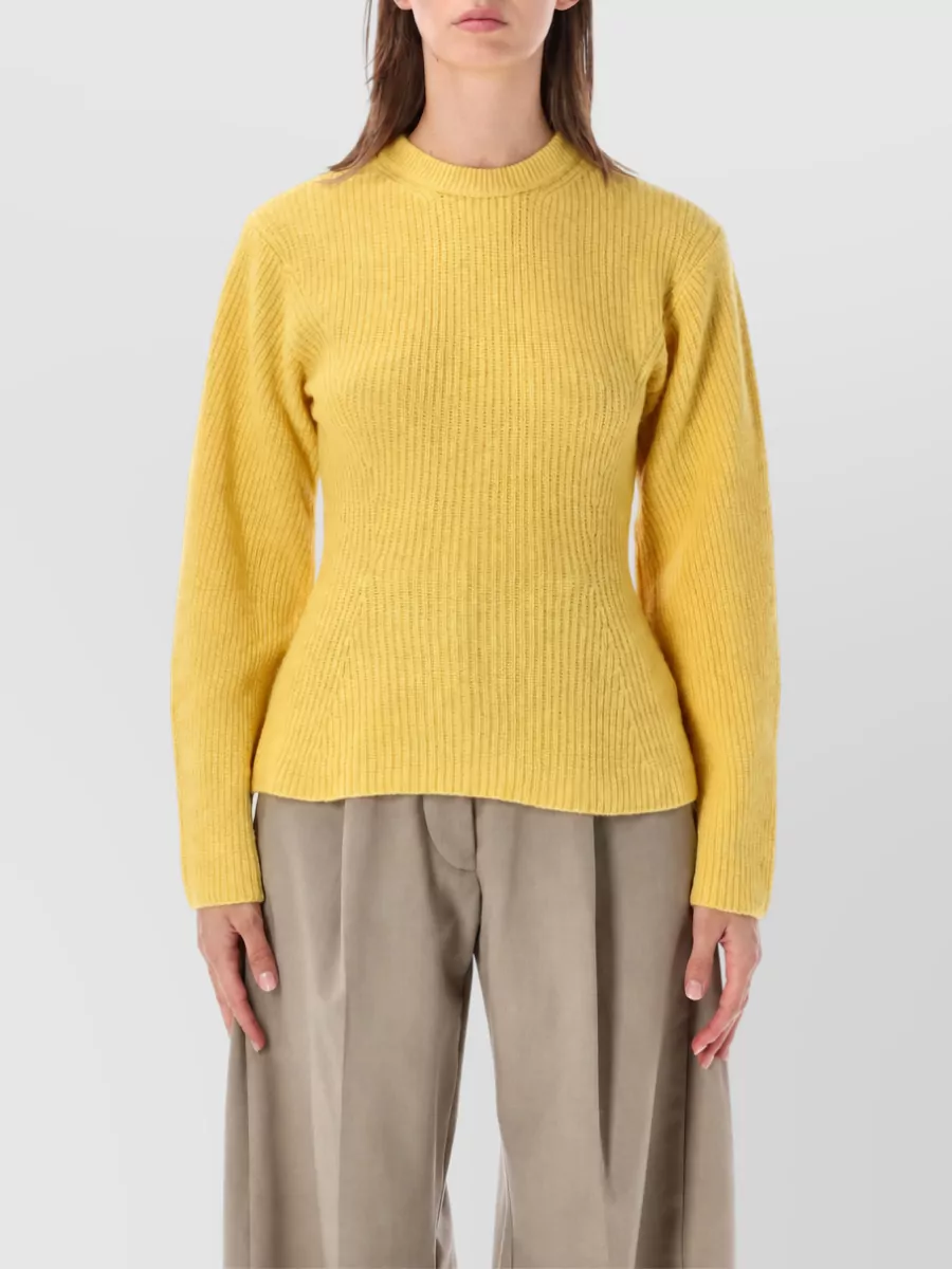 Thelatest wool ribbed crewneck sweater