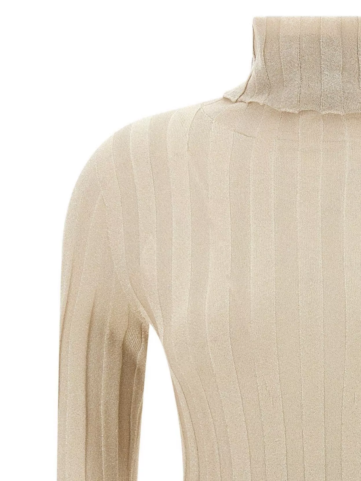 Fabiana Filippi Turtleneck Slim Fit Knit Sweater