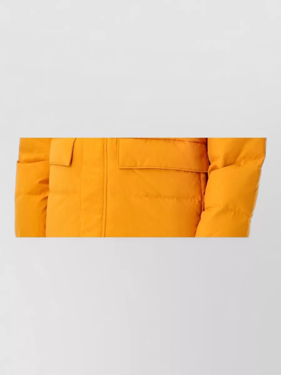 Patagonia Down Hooded Puffer Jacket