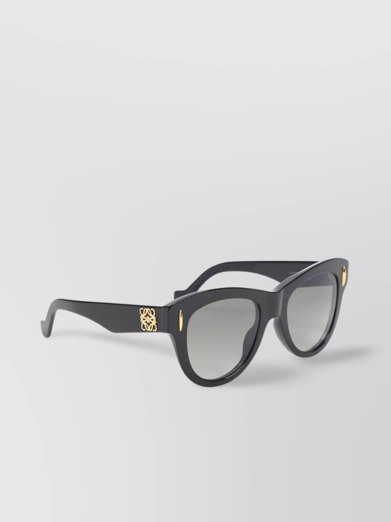 Loewe Vintage Screen Round Frame Sunglasses