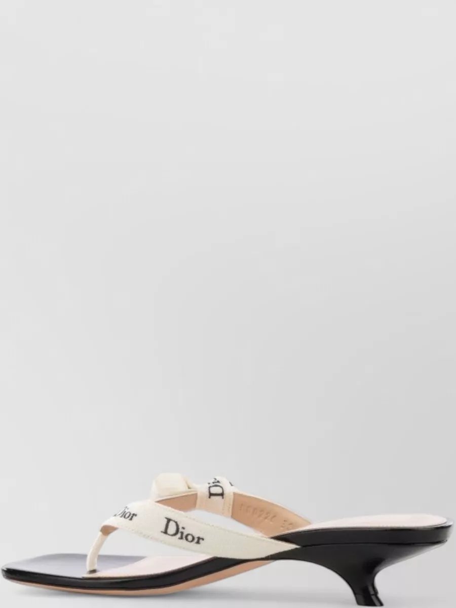 Dior Leather Mules In Multi