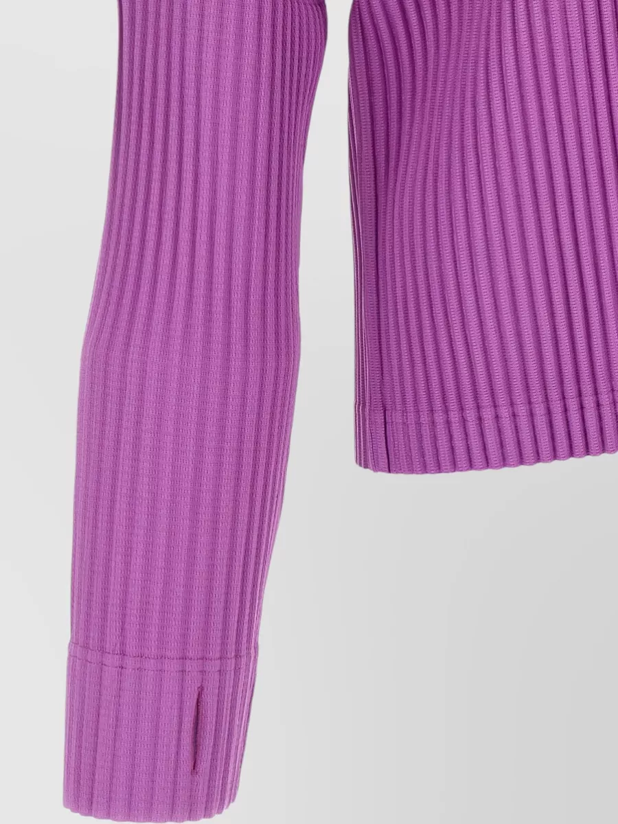 Homme Plisse Issey Miyake Pleated Long Sleeve Top