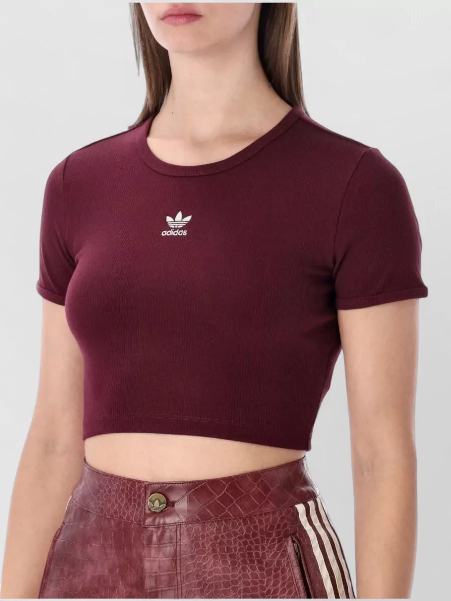 Adidas Originals Ribbed Cropped T-Shirt