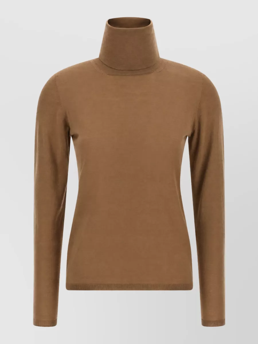 Max Mara Wool ribbed turtleneck sweater