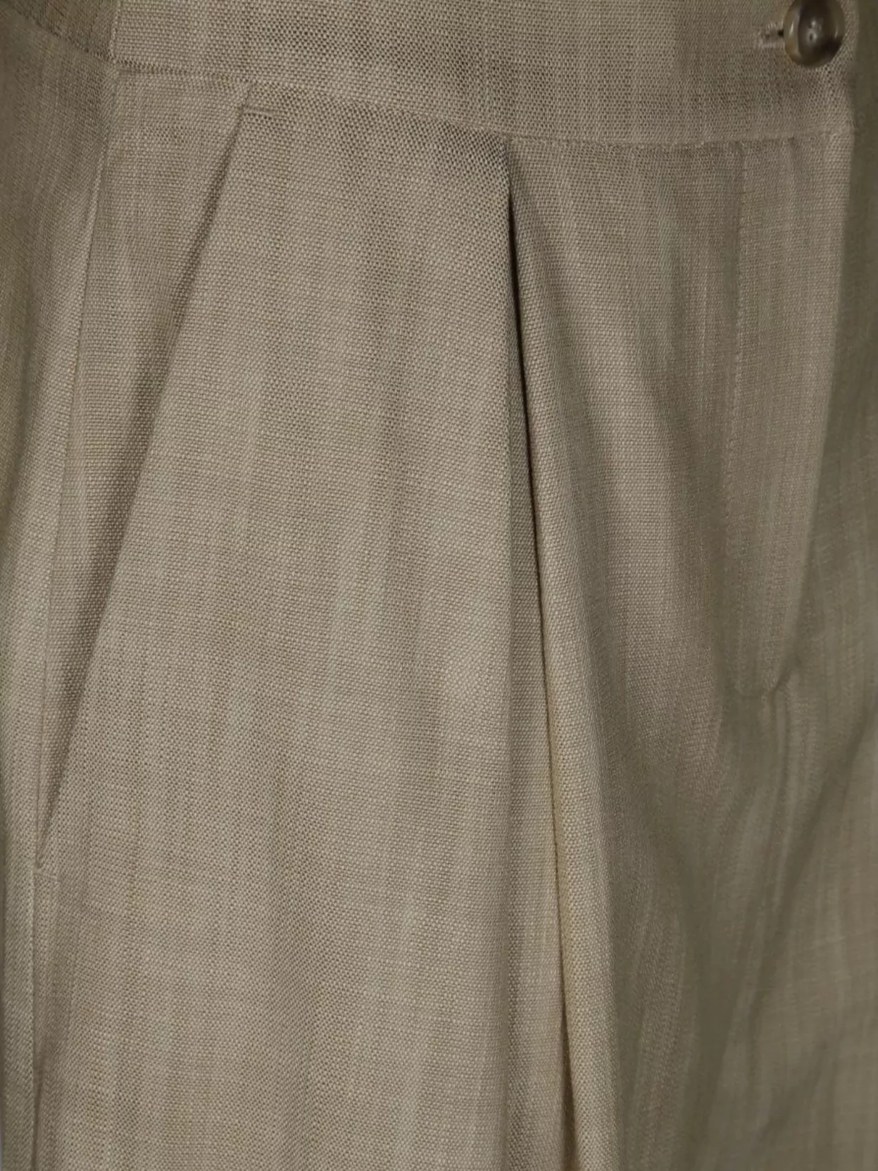 Pinko Canvas Trousers With Belt Loops And Pleated Design