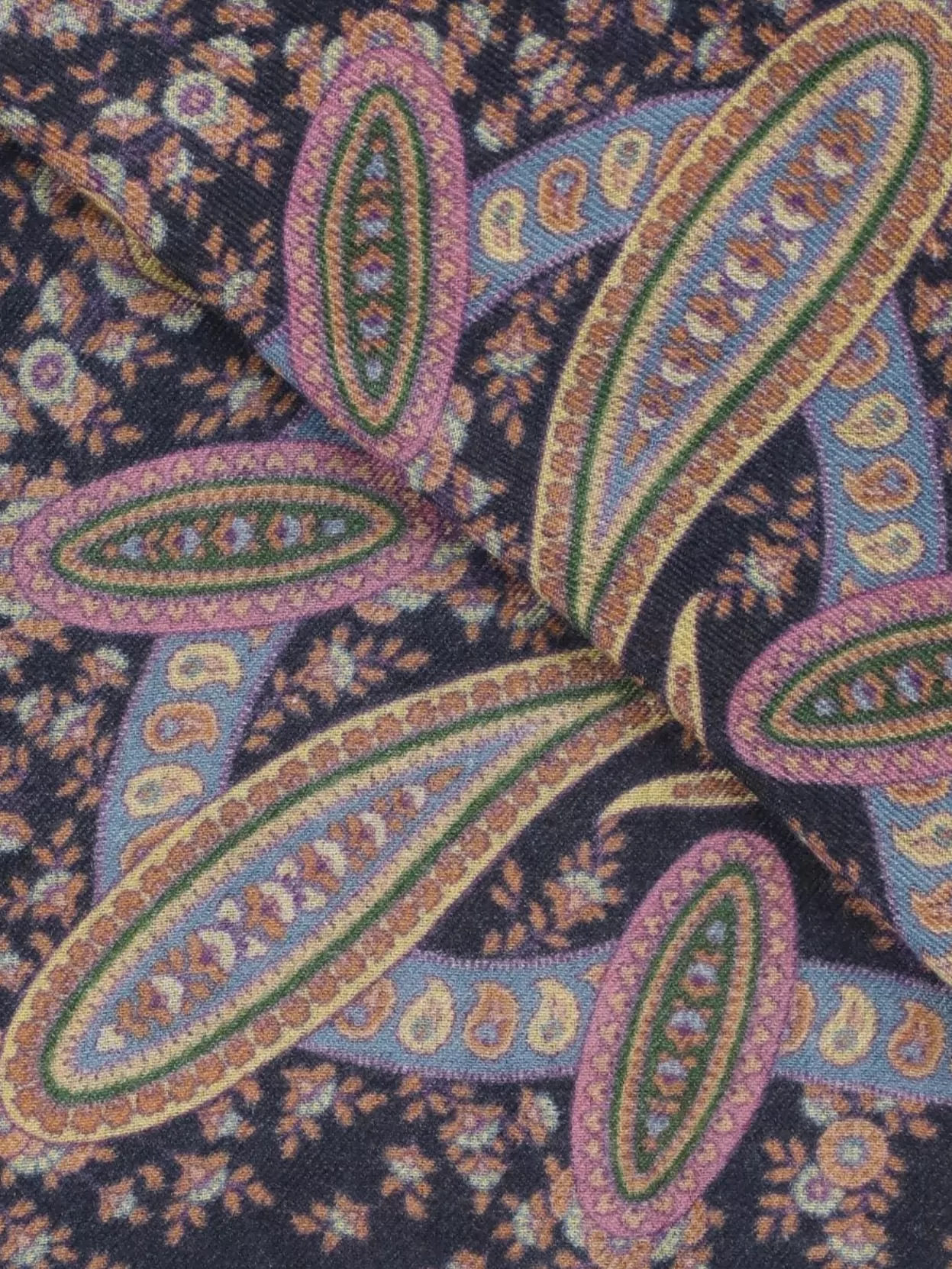 Etro Women's Paisley Print Fringed Scarf