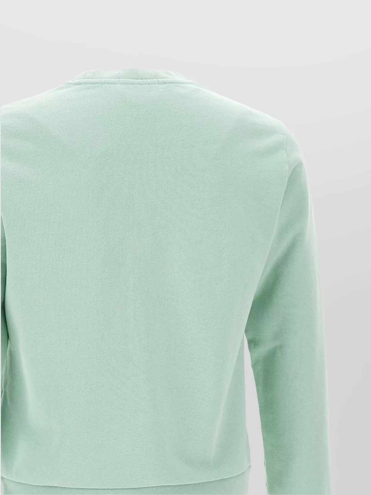 Polo Ralph Lauren Pony Embroidered Crewneck Sweatshirt Fleece