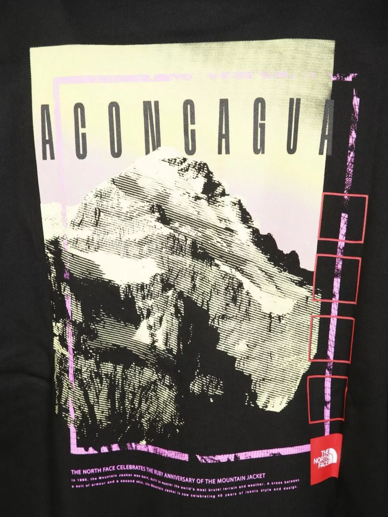 The North Face Axys Oversized Crew Graphic Print Sweater