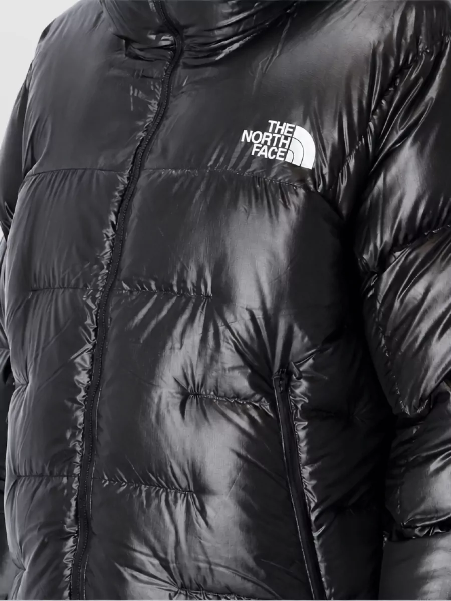 The North Face Down Puffer Parka