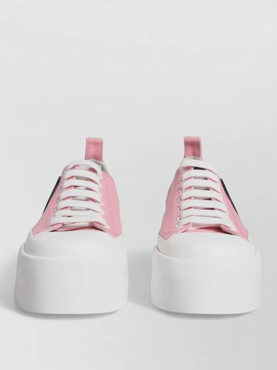 Dolce&Gabbana canvas logo low top sneakers